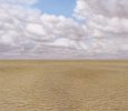 55 - Landscape
