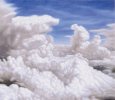 51 - Landscape