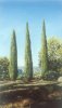 24 - Landscape