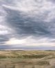 49 bis - Landscape